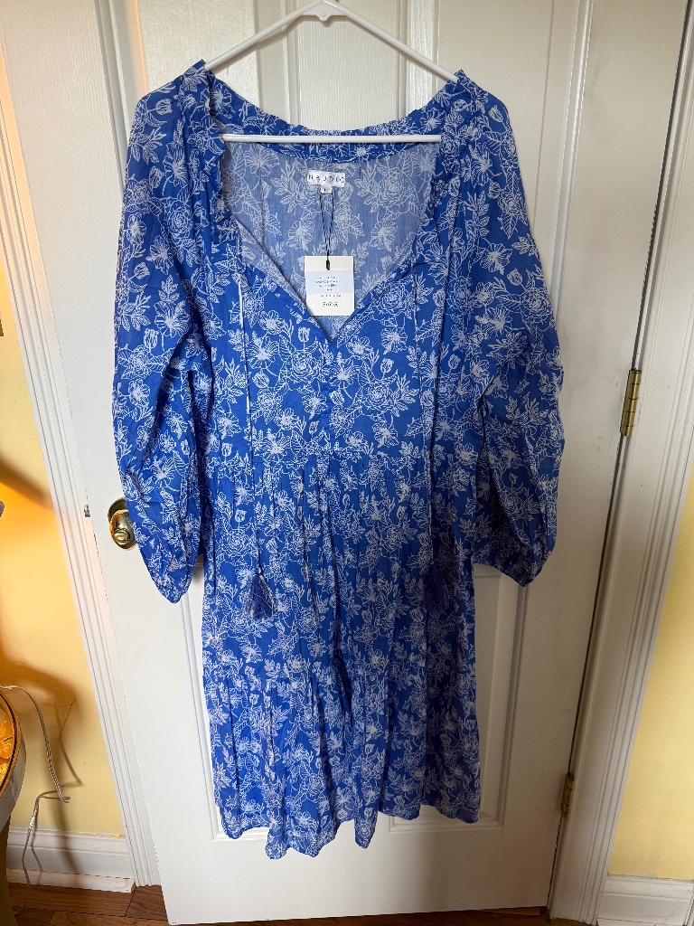Nwt Naudic Molly Dress In Blue/White Floral